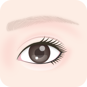 目の開きがよくなり完成です